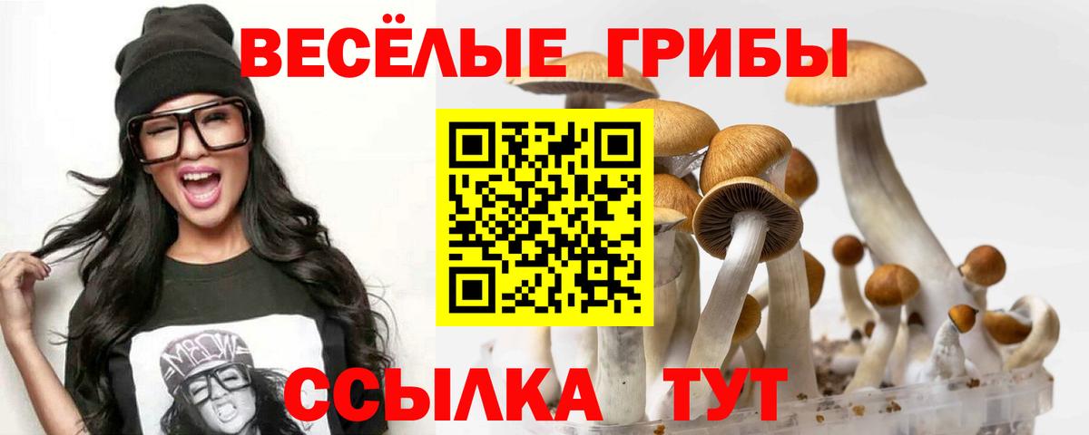 Псилоцибиновые грибы Magic Shrooms  Вход с VPN  купить наркоту  Черкесск 